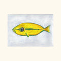 Yellow Fish Postcard