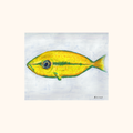 Yellow Fish Print
