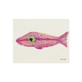 Pink Fish Print